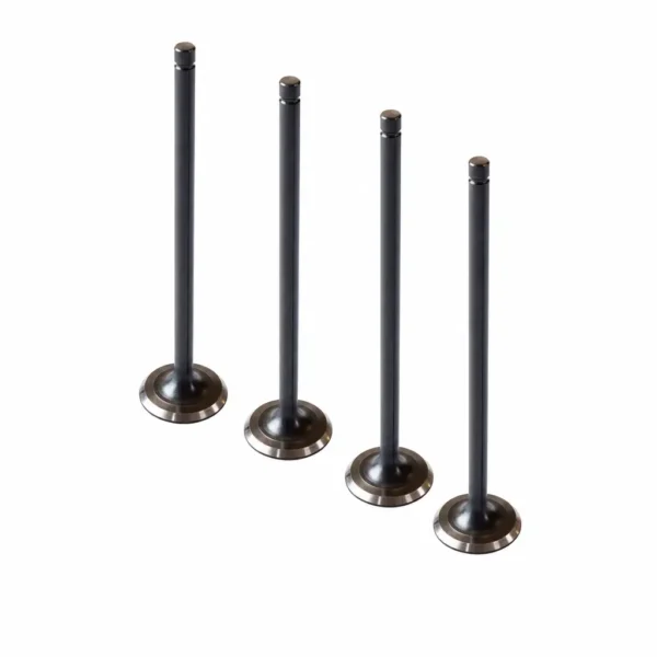 Kit valvulas para Bajaj PULSAR 160NS (4 Piezas)